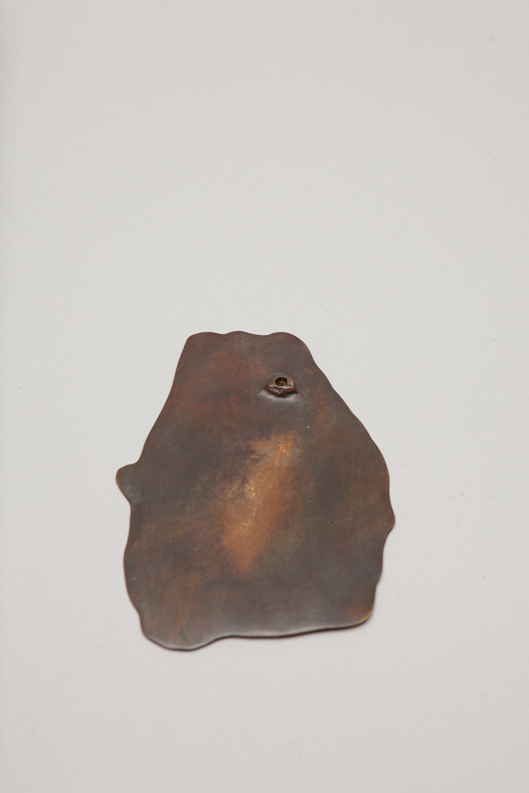 THE OSTREOIDEA COASTER [SET]