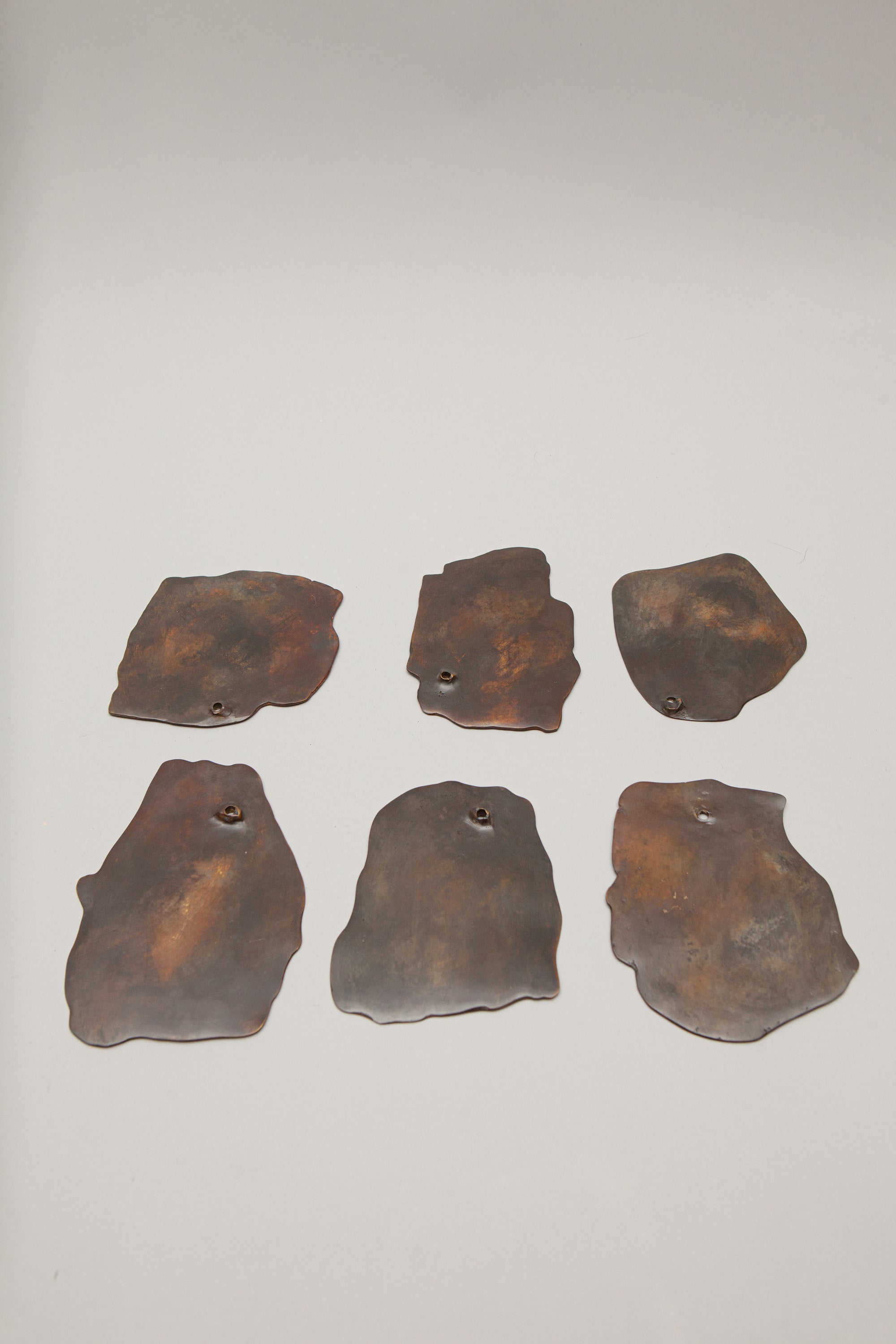 THE OSTREOIDEA COASTER [SET]