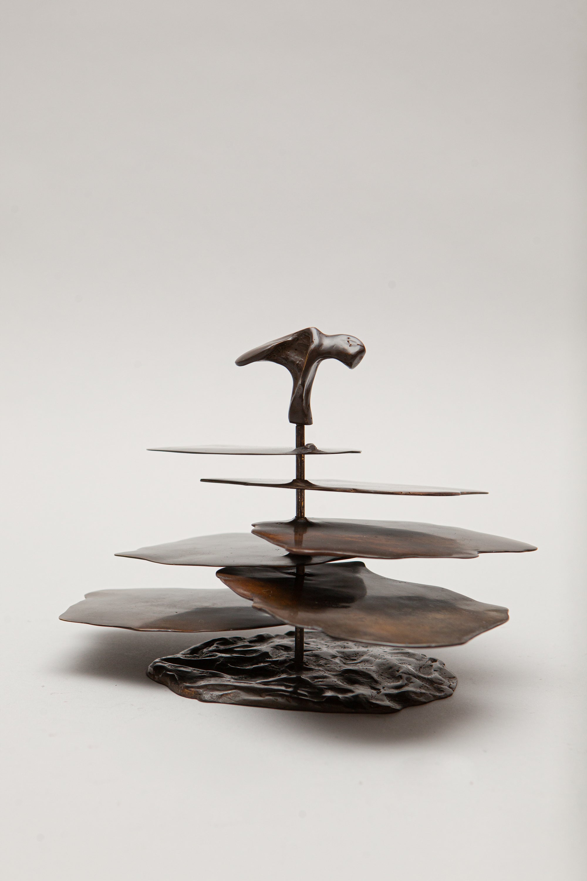 THE OSTREOIDEA COASTER [SET]