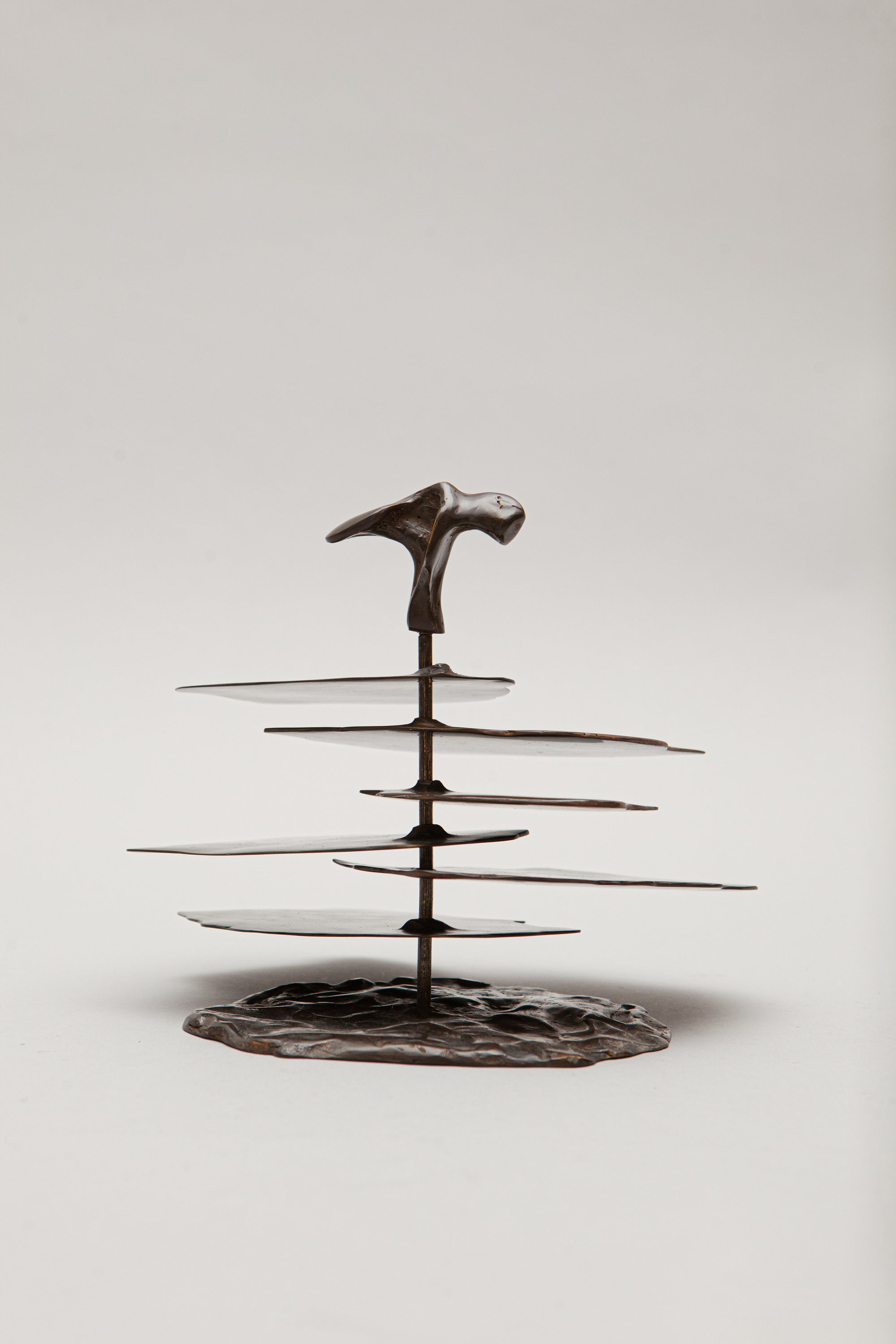 THE OSTREOIDEA COASTER [SET]