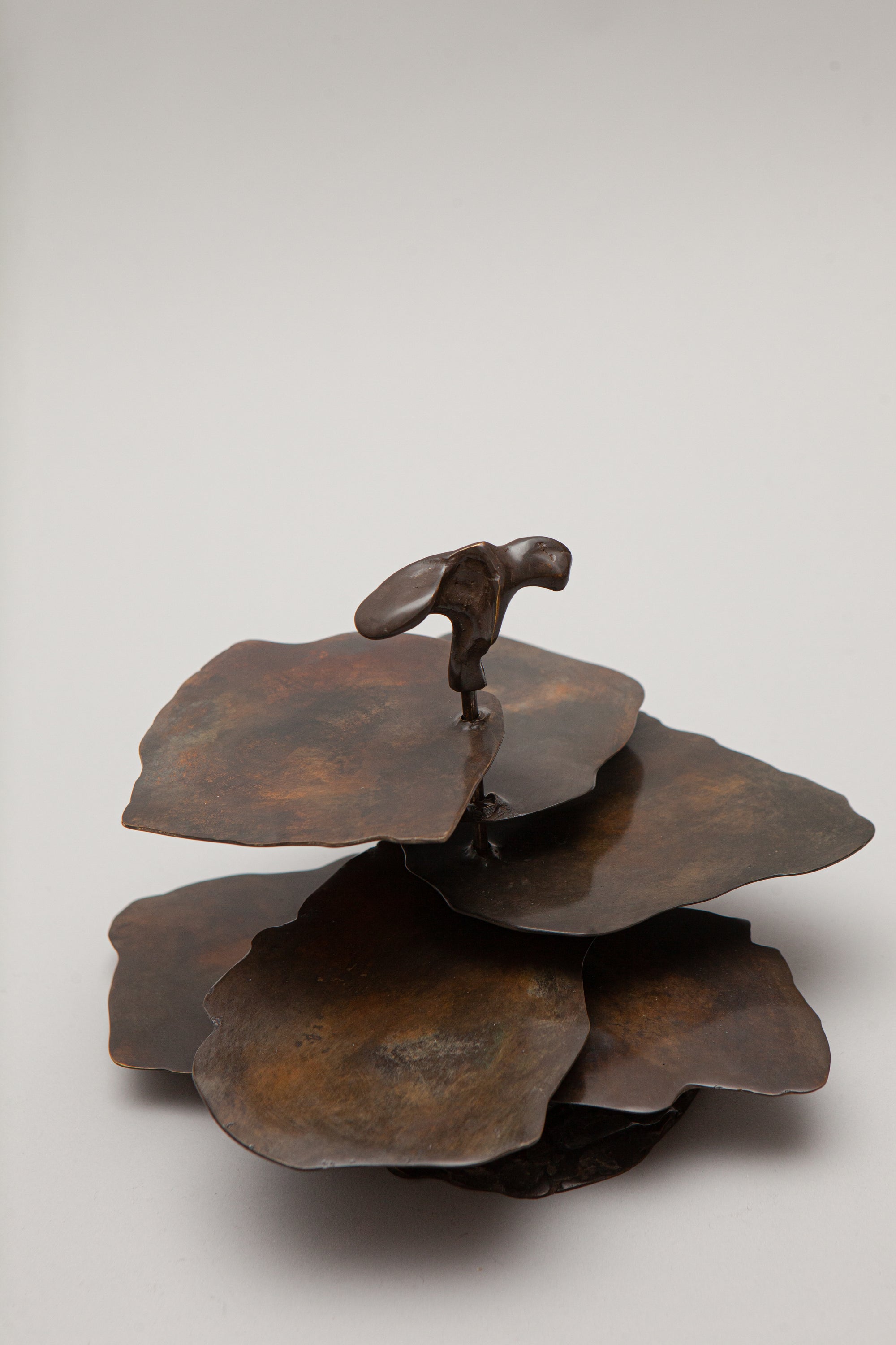 THE OSTREOIDEA COASTER [SET]