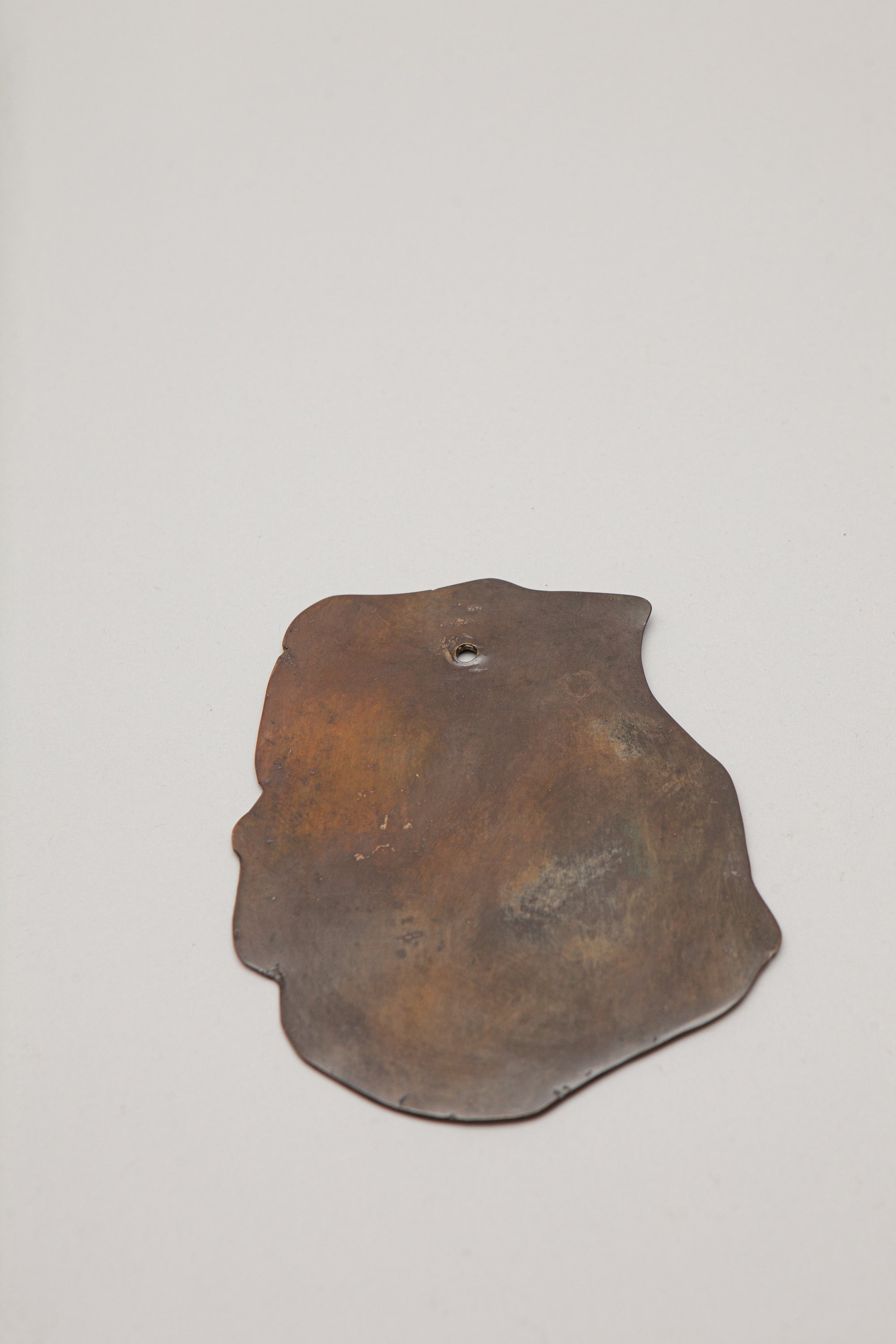 THE OSTREOIDEA COASTER [SET]