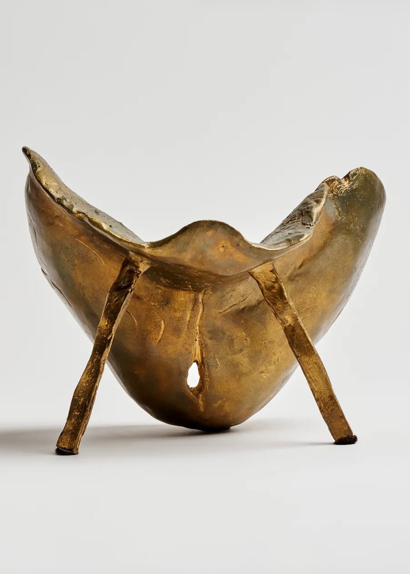 THE CHIN - HOLDER